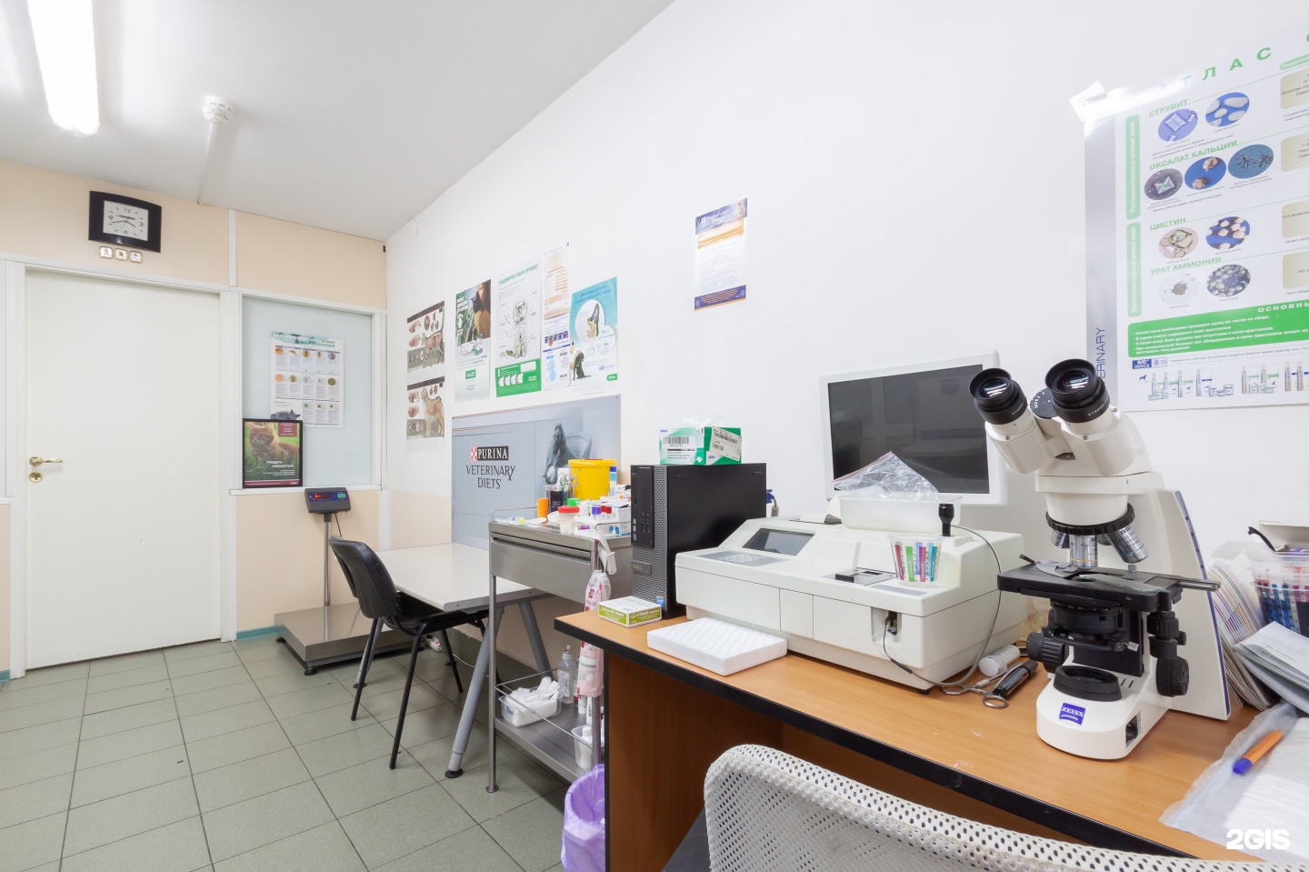 Доктор Айболит, сеть ветеринарных клиник