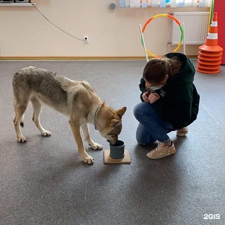 ФАУНВИЛЬ, зооцентр