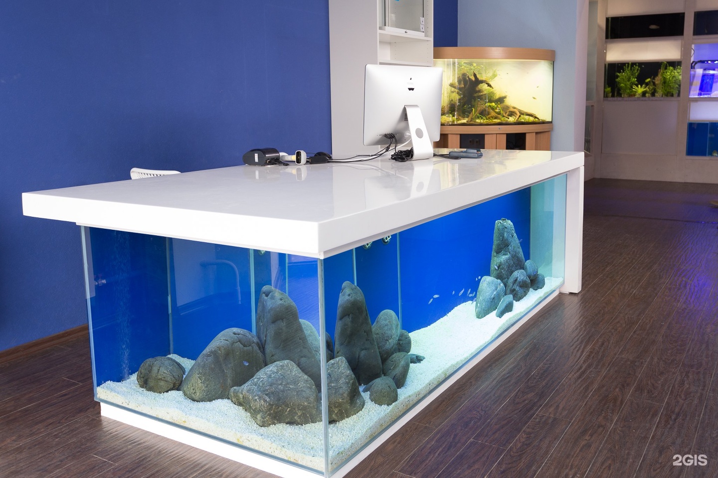 Happyfishes, аквариумный салон