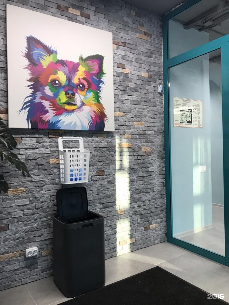 ИНВЕТА, ветеринарная клиника, Розы Люксембург