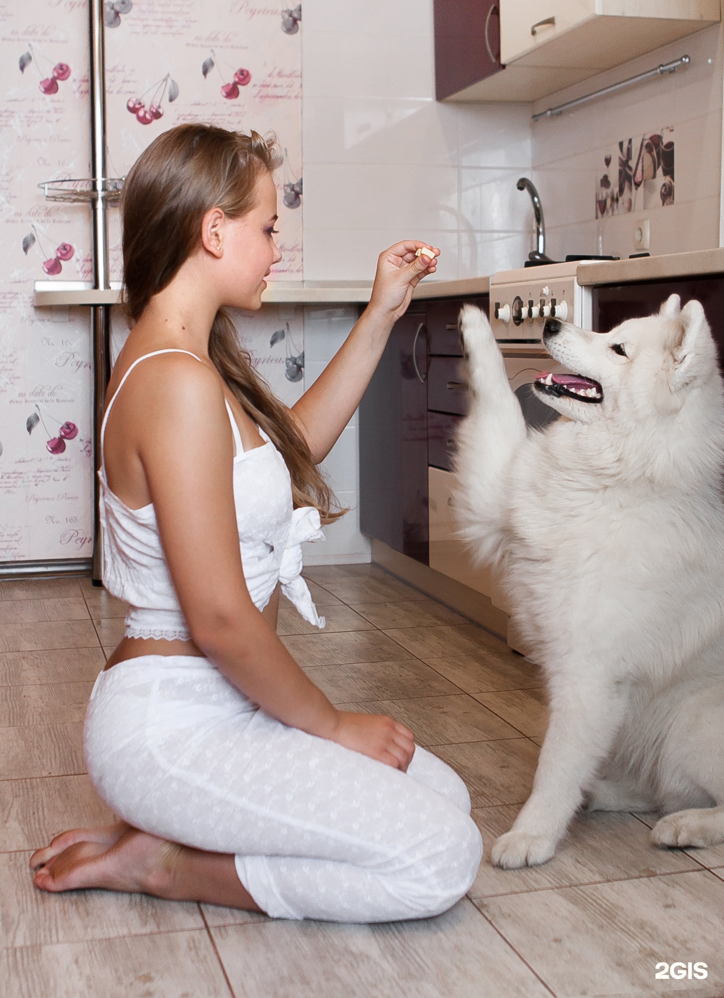 Кинологический портал