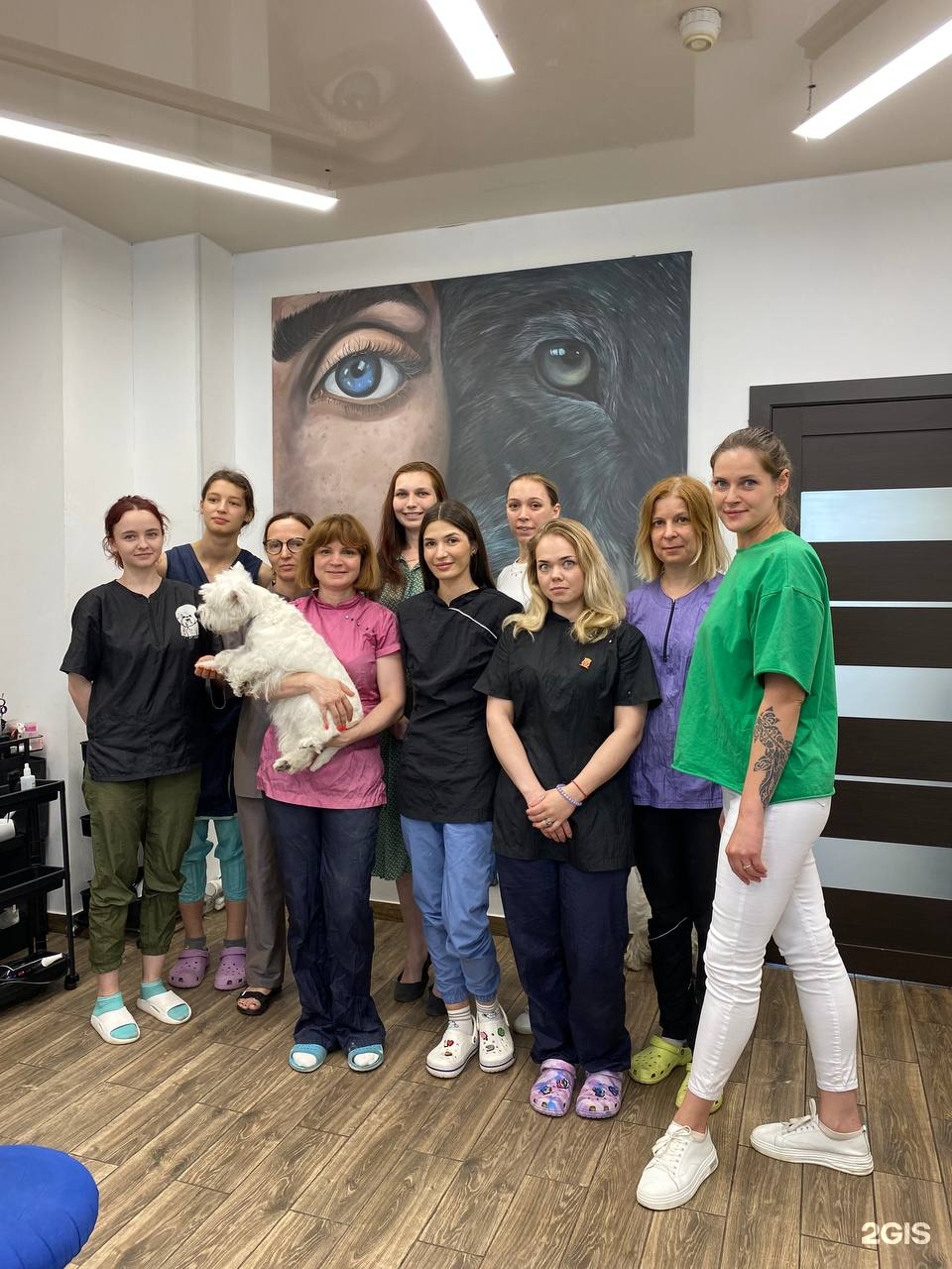 Urbandog, школа груминга