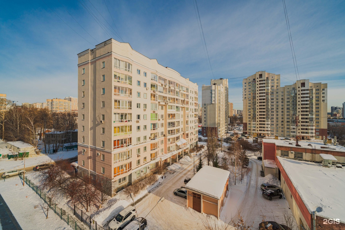 Urbandog, школа груминга