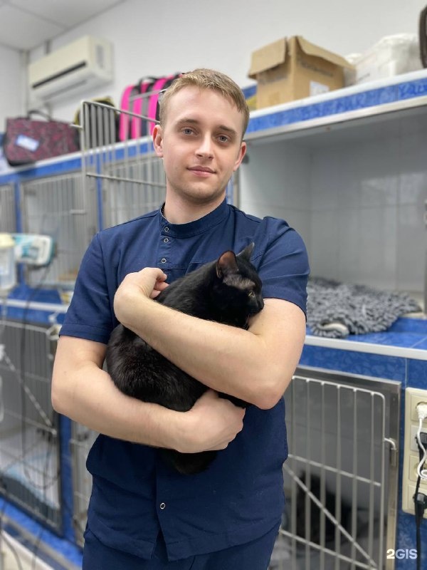 Зоодоктор, ветеринарная клиника, БЦ Решетников, проезд Решетникова