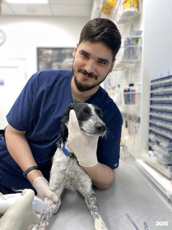 Зоодоктор, ветеринарная клиника